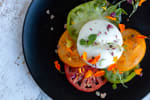 Food Shot 2