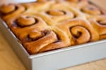Food Shot 4