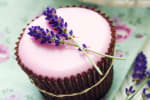 Food Shot 3