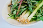 Food Shot 2
