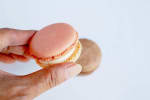 Food Shot 1