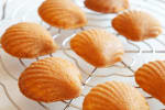 Food Shot 4