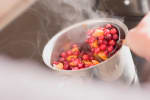 Food Shot 2