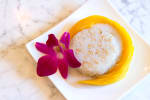 Food Shot 4