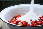 Food Shot 2