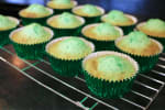 Food Shot 4