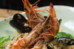 Food Shot 11