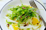 Food Shot 2