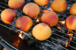 Food Shot 4