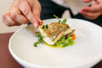Food Shot 4