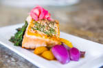 Food Shot 0