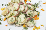 Food Shot 3