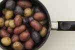 Food Shot 3