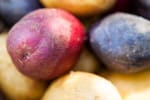 Food Shot 2