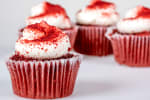 Food Shot 4