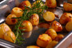 Food Shot 4