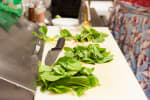 Food Shot 7