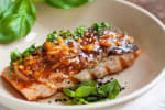 Food Shot 0
