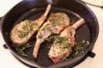 Food Shot 7