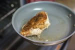 Food Shot 4