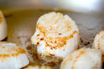 Food Shot 3