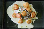 Food Shot 3