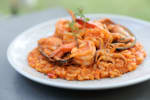 Food Shot 3