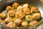 Food Shot 1