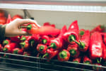 Food Shot 3