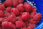Food Shot 4
