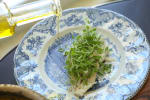 Food Shot 0