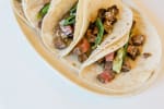 Food Shot 0