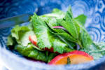Food Shot 2