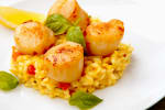 Food Shot 0