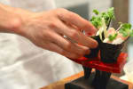 Food Shot 8
