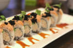Food Shot 5