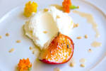 Food Shot 5