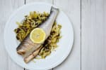 Food Shot 4