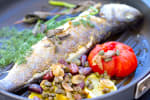 Food Shot 4