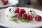 Food Shot 4