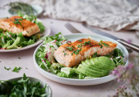 Sous Vide Salmon Shot