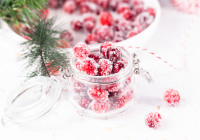 Sugared Cranberries Shot
