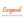 Protected Payments Icon