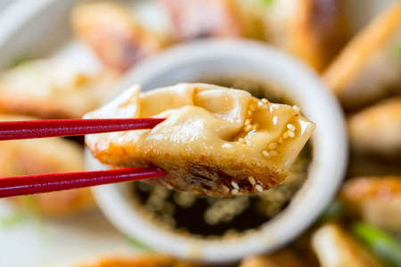 Crispy Korean Potstickers