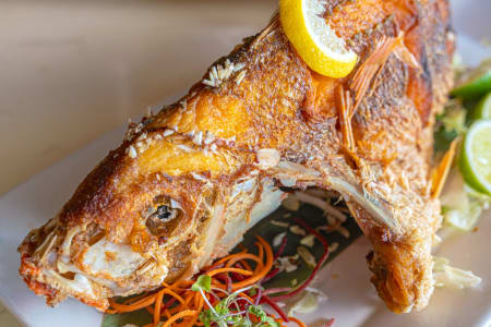 Tampa Private Chef Meal: Signature Dishes From the Bahamas