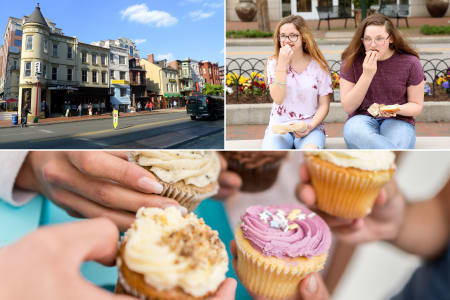 Washington, D.C.'s Top Gourmet Eats