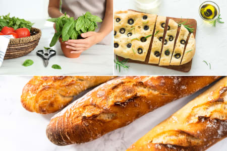 Breads Baked From Scratch
