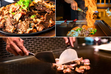 Gastronomic Hibachi Adventure