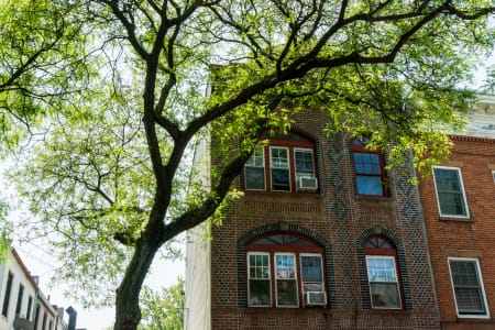 Brownstone Brooklyn's Best Bites