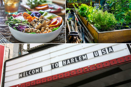The Sustainable Side of Harlem